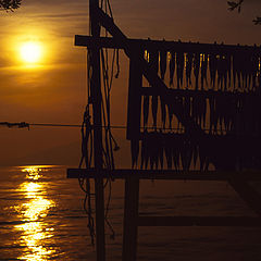 photo "lake sunset 02"
