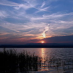 photo "Marble sky"