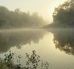 фото "Золотистое утро"