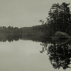 photo "Ringing silence"