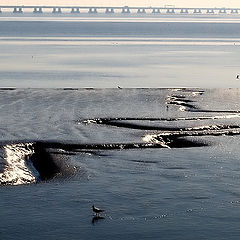 photo "Tracks on the Tagus River..."