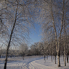 фото "последний поворот"