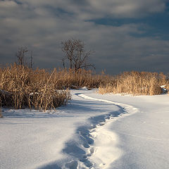 фото "На зимней реке"