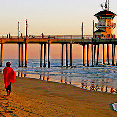 photo "A walk in the sand"