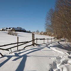 фото "За изгородью"