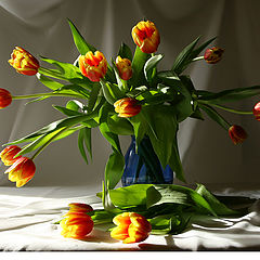 photo "Tulips explosion"