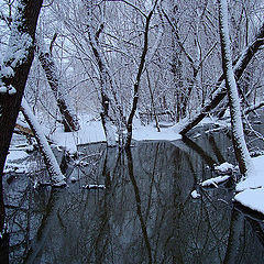 photo "After the April snowstorm"