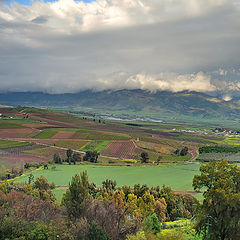 фото "After rain in the Galilee"