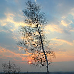 фото "Закатик"