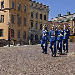 photo "Guard of King"