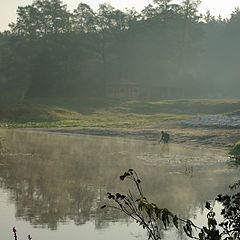 photo "Morning near the river"