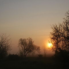 фото "Солнце в тумане..."