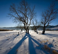 фото "Звенящее настроение ..."