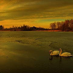 фото "взбрык22"