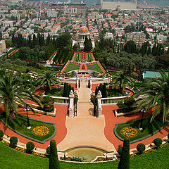 фото "Bahai Gardens"