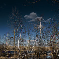 фото "Апрель"