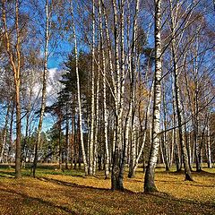 фото "осень года"