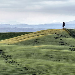 photo "Toscana 100"