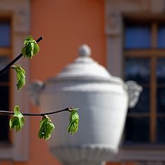 фото "классика"