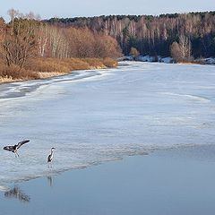 фото "Возвращение"