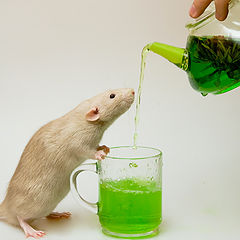 photo "Green Tea"