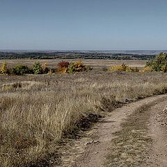 фото "Степная дорога"