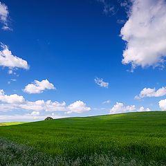 фото "I love you Alentejo (Portugal)"