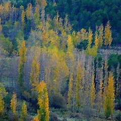 фото "candles in the mountains"