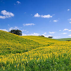 фото "Alentejo Portugal"