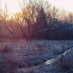 photo "Spring Sunrise"