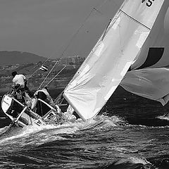 фото "REGATTA"