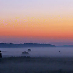 фото "Рассветный туман"