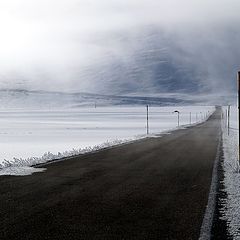 фото "The Road"