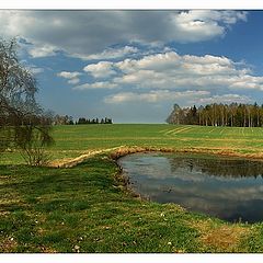 photo "Mirror spring"