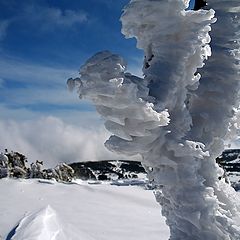 фото "форма снега 7"