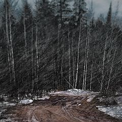 фото "Весна со страстями"