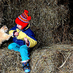 photo "In the Hayloft"