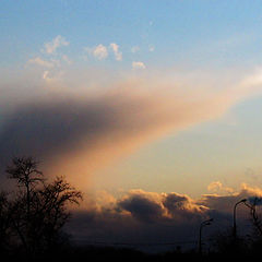 photo "Touch the sky"