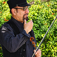 фото "Portrait of a violinist"