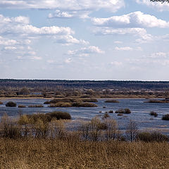 фото "Разлив "Десны""