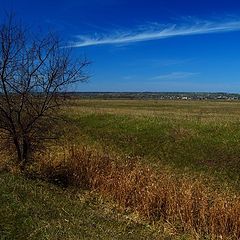 фото "в степях Украины"