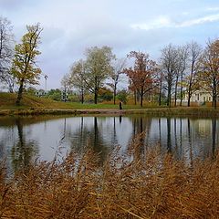 фото "Осенние прогулки"