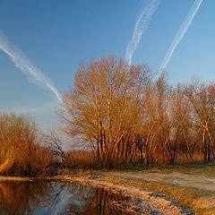 фото "утренний салют"