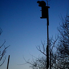 photo "***"