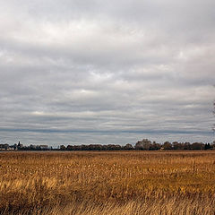 photo "The Russian landscape"