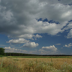 photo "Clouds over the summer field"