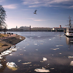 фото "Разбитые осколки зимы"