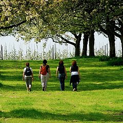 photo "spring walk"