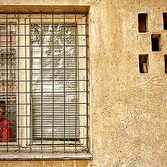 photo "Behind bars"