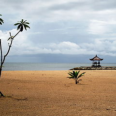 фото "Cloudy day on  beach"